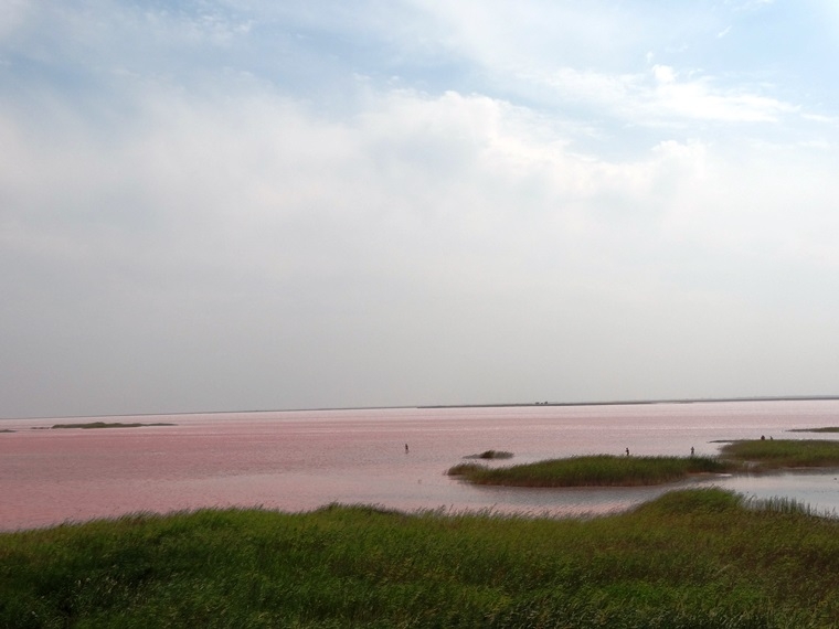 Розовое озеро - часть экосистемы Сиваш
