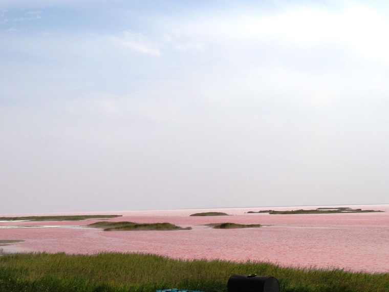 Впечатления от поездки на Розовое озеро