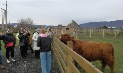 Термальный уик-енд в Закарпатье
