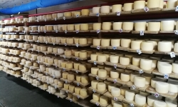 Термальный уик-енд в Закарпатье