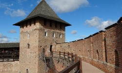 Замки Волыни