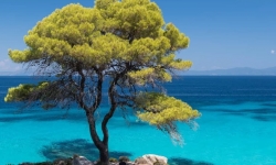 Очарование Греции - отдых на море