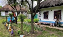 Савранские истории