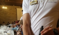 Молдова: винодельня Purcari