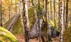 Осеннее Полесье