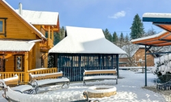 Гуцульский экспресс