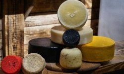 Гуцульский экспресс