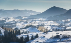 Гуцульский экспресс