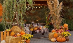 Балтские истории