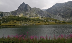 7 Рильских озер Болгарии