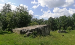 Подольский экспресс