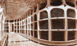 Винный город Cricova