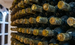 Винный город Cricova