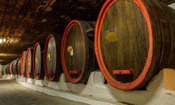 Винный город Cricova