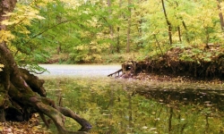 Арбузинский каньон и Трикратский лес