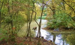 Арбузинский каньон и Трикратский лес