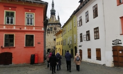 Зимние приключения в Трансильвании