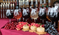 Фестиваль вина в Мукачево