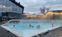 Фестиваль вина в Мукачево