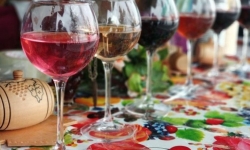 Фестиваль вина в Мукачево