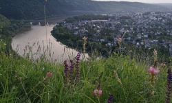 Водопады Тернопольщины