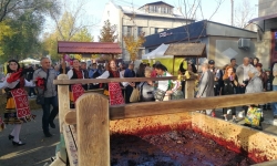 Традиции виноделия в Болграде