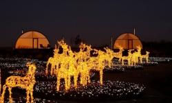 Огоньки Лавандии