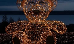 Огоньки Лавандии