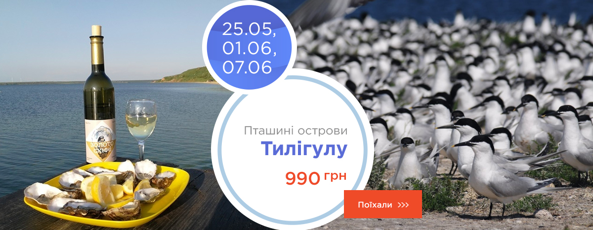 Птичьи острова Тилигула